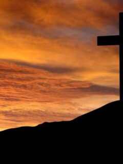 religiile-vor-disparea-in-viitorul-apropiat-anul-in-care-ateismul-va-deveni-noua-credinta_size1