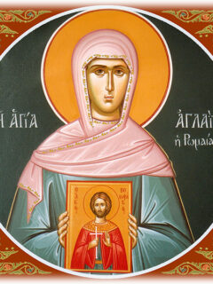 ag-Aglaia-IN