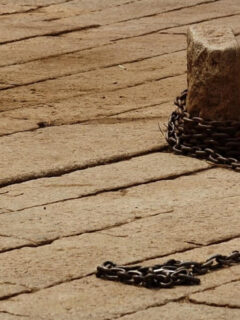 Chain_expressing_freedom-1024x675