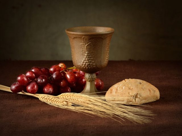 6303_39130_345615f963