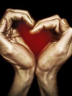givefromtheheart