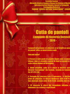 Cutia de pantofi 2016