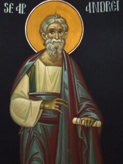 ioan-popa-afteia-jud-alba-2010-700