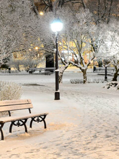 bench-winter-snow-night-lights-light-nature-park-trees