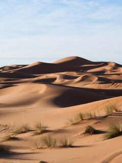desert_sahara