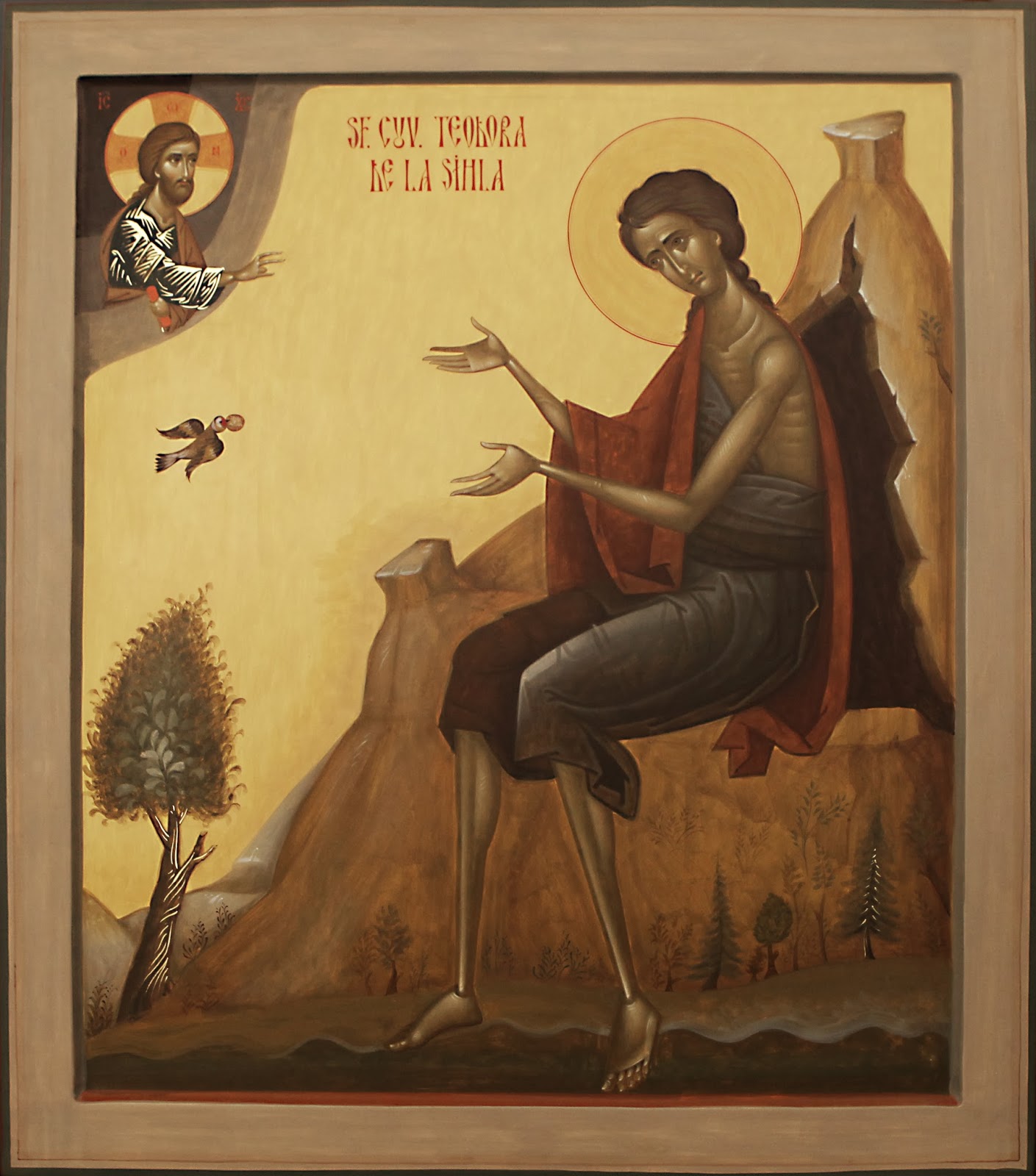 RazvanGasca01
