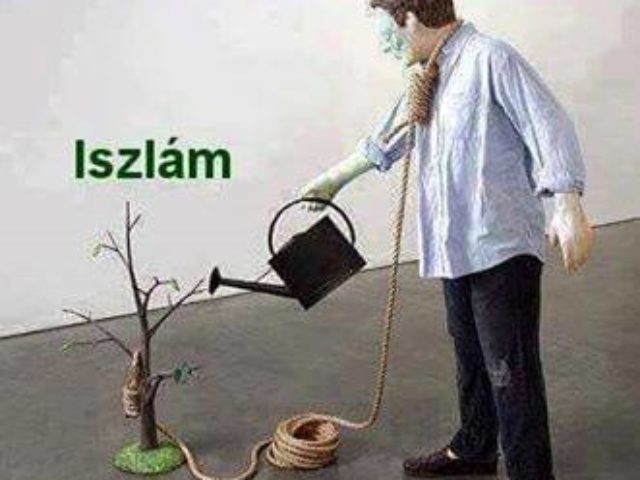 12813926_1177239068967916_960603216478006942_n