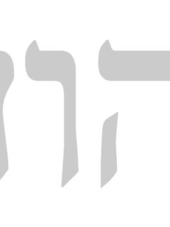 176