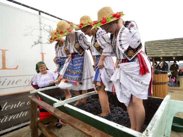 Sarbatoarea-recoltei-2014-la-Alira-in-Dobrogea-07