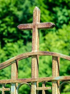 cruce-gard-manastirea_sf_treime-bals_foto_crina_zamfirescu_16