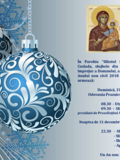 Afis Anul nou 2018