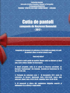 Cutia de pantofi 2017 II