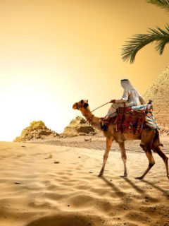 Pyramids in hot desert