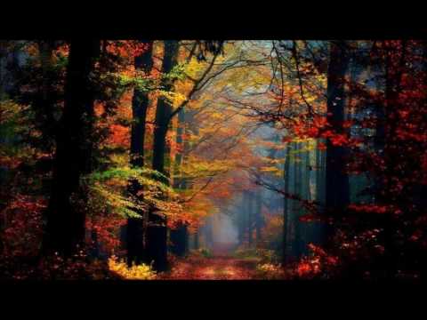 Pachelbel – Forest Garden (Album)