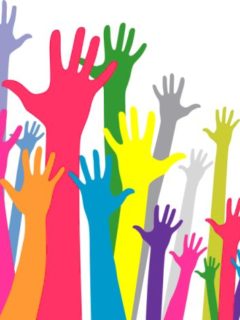 Participation
