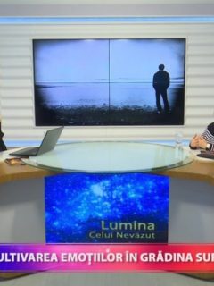 Lumina celui Nevăzut. Cultivarea emoțiilor în grădina sufletului