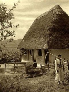 pentru-primul-articol-casa-taraneasca