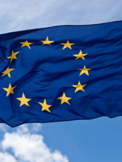 European Union Flag
