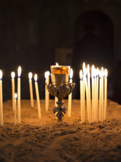 Photo-4-1024x683-1