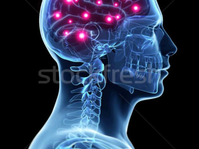 2758248_stock-photo-3d-rendered-illustration---active-brain