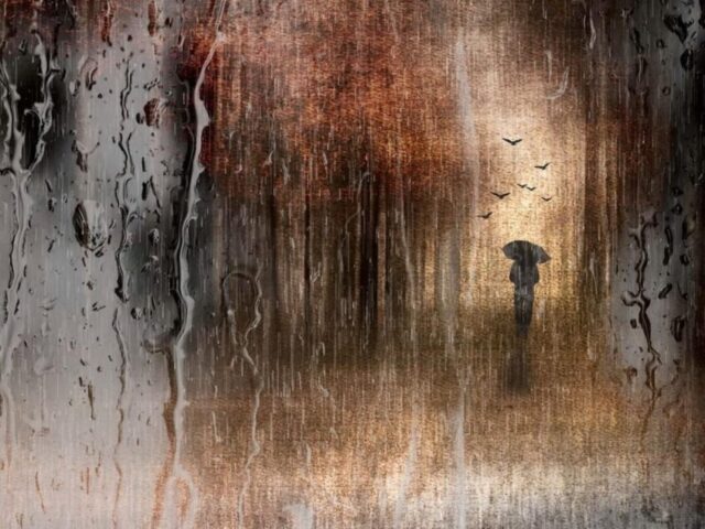 775F21E0-24C1-41AD-8659-AC03614AAA12