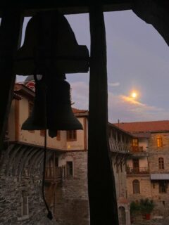 IMG_4767